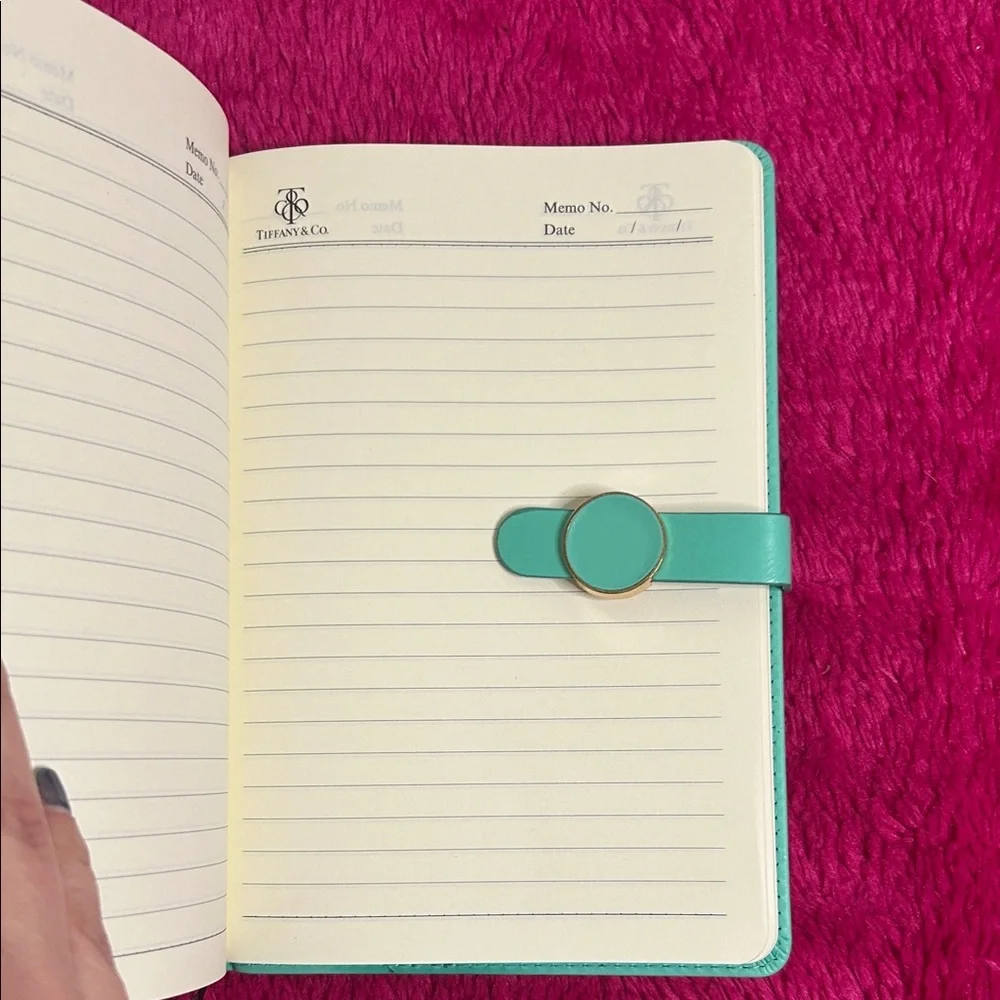 Tiffany & Co. Aqua and White Journal - Picture 4 of 6